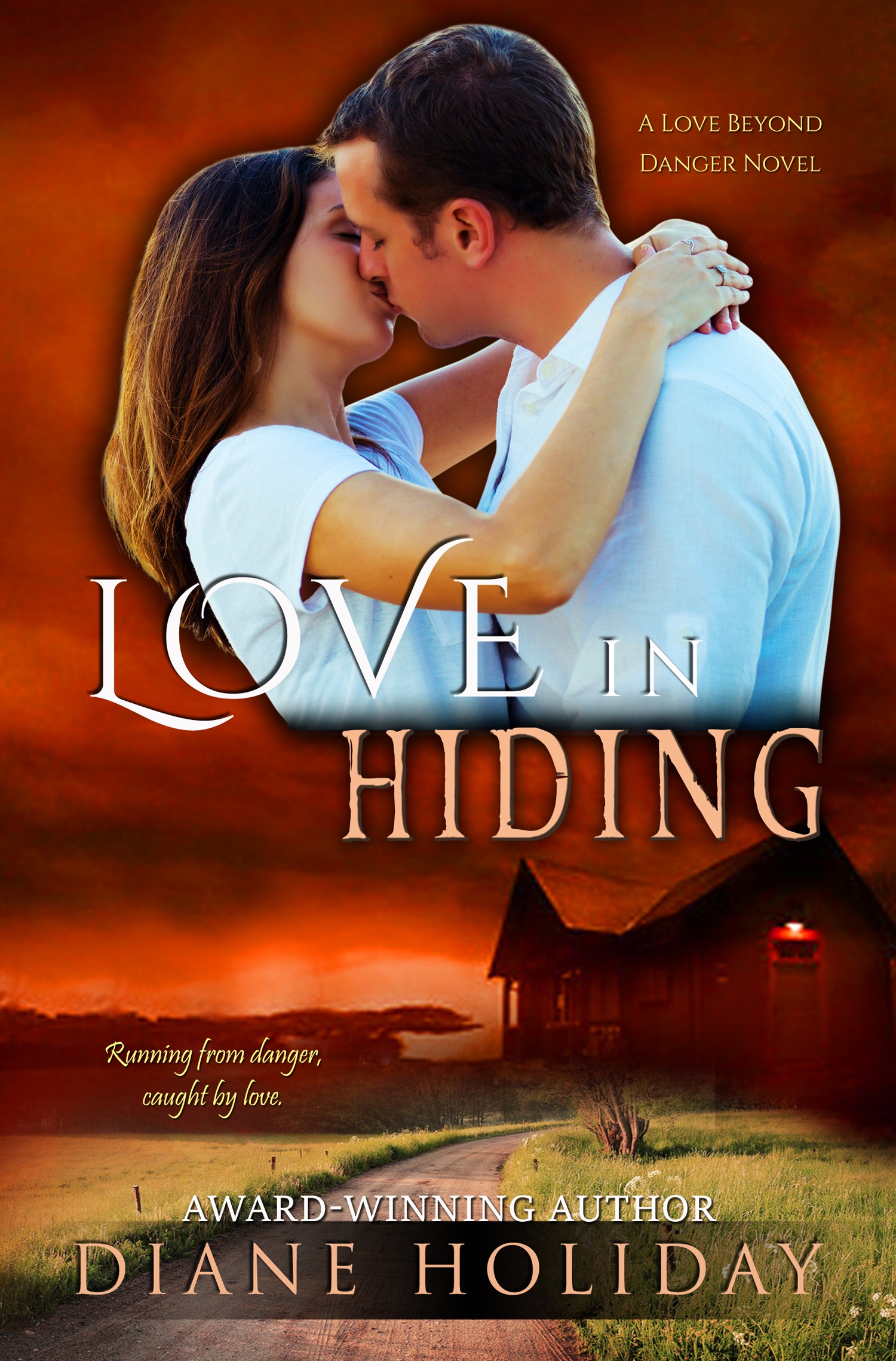 Hiding love. Diane Holliday. Заметная любовь книги. Lover Hide.